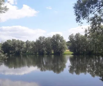 Marne : un jeune homme de 19 ans meurt noyé 